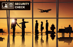 Airport/Port Security